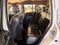 2015 Jeep Compass Latitude
