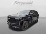2023 Cadillac Escalade 4WD Sport